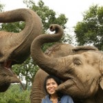 elephant-nature-park
