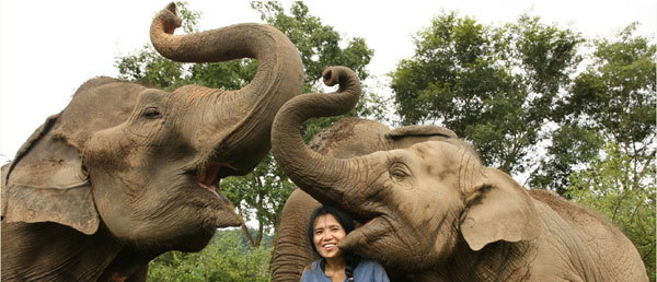 elephant-nature-park